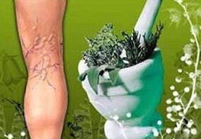 билки за третман на проширени вени